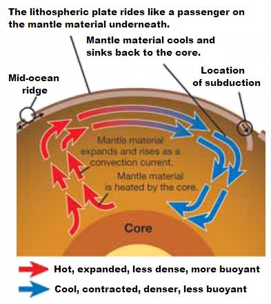 19.2 What drives lithospheric plates?