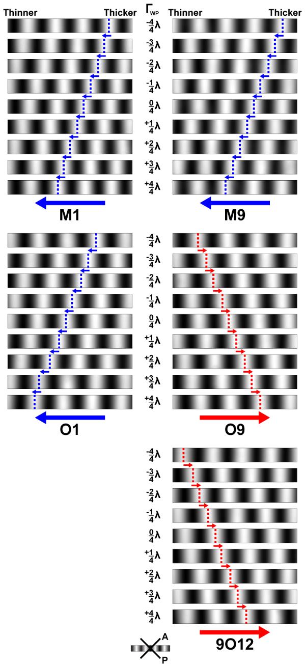opposite directions, planar alignment perpendicular and parallel to AAAA, respectively.