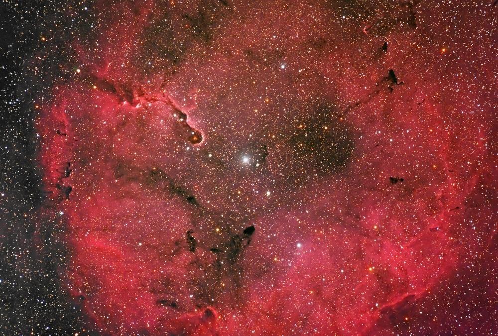 Emission Nebula IC1396 Emission Nebula