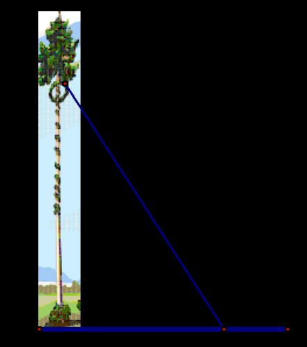 4. A damaged tree is supported by a guy wire 10.0 m long. The wire makes an angle of 61 with the ground. Calculate the height at which the guy wire is attached to the tree. 5.