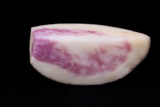 Internal Anthocyanin Pigmentation The same anthocyanins are naturally found in the tuber skin of red and