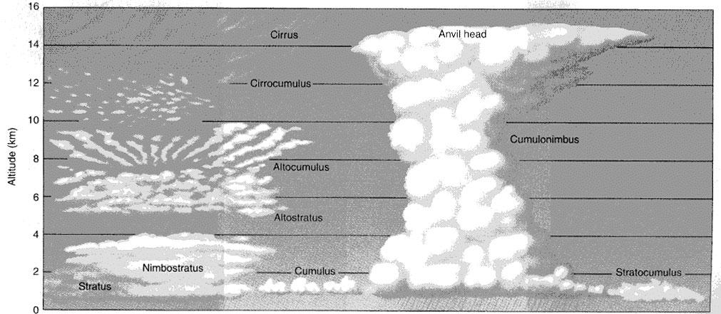 Why Clouds Form? Clouds form when air rises and becomes saturated in response to adiabatic cooling. Cloud Type Based On Properties Four basic cloud categories: Cirrus --- thin, wispy cloud of ice.
