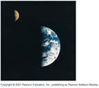 Pluto A special case: Officially NOT a planet, but a dwarf planet Very unlike other planets in