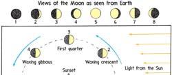 More is known about the Moon than any other celestial body Diameter about one quarter that of
