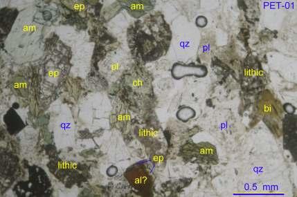 19 PET-01: Typical assemblage of detrital quartz (qz), plagioclase feldspar (pl), amphibole (am), epidote (ep, locally rimming core of brown