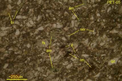 22 PET-05: Arkosic siltstone/ mudstone (technically fine sandstone, 0.1-0.