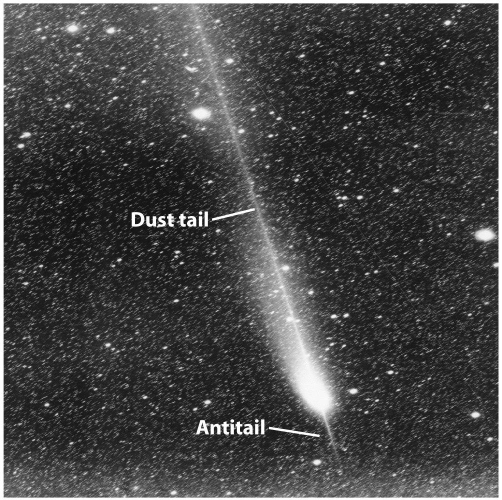 contains billions of comet nuclei in a