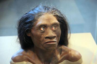 How homo neanderthalensis might