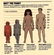 How homo floresiensis might have