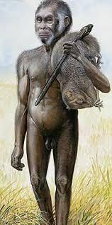 The Earliest Hominins The study of human origins is known as paleoanthropology Hominins (formerly called hominids) are more