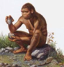 Early Homo The earliest fossils placed in our genus Homo are those of Homo habilis, ranging in age from about 2.