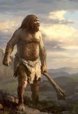 Neanderthals Neanderthals, Homo neanderthalensis, lived in Europe and the Near East from 350,000-28,000 years ago They were thick-boned with a
