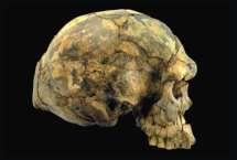 Herto cranium from Ethiopia, dated 160,000 to 154,000 ya best dated fossils from this time Older than any other equally modern H.