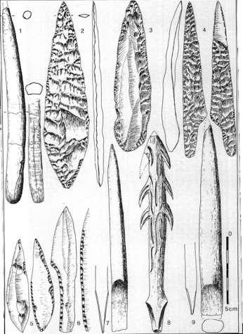 Magdalenian tools - More efficient use of stone with skilled craftsmanship Bone, ivory and antler become more widely used raw