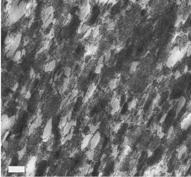 Latex particles in Polystyrene: Pre-vulcanised
