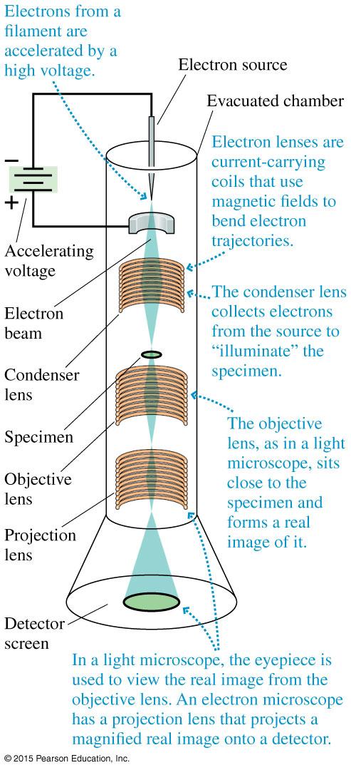The Electron Microscope This figure shows