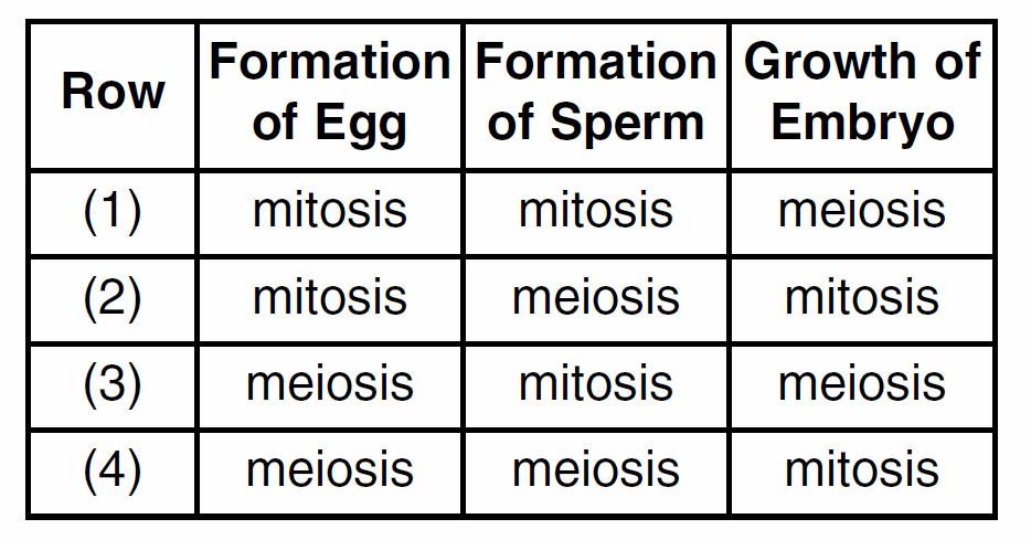 46. The diagram below represents processes involved in human reproduction. Which row in the chart below correctly identifies the processes represented by the letters in the diagram?