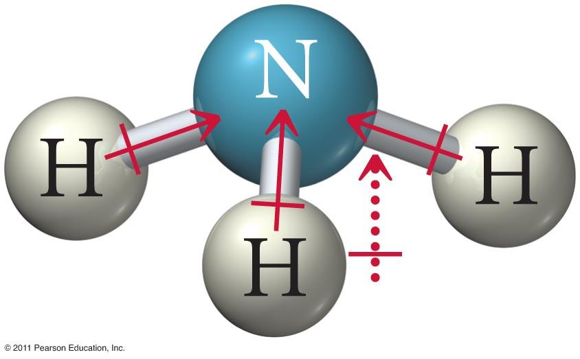 Predict whether NH3 is a polar molecule 3) Determine whether the polar bonds add together to give a net dipole moment a) vector addition b) generally, asymmetric shapes result in
