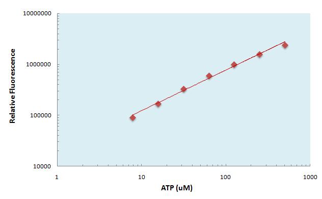 STANDARD CURVE Correct for background fluorescence or absorbance. For each point, subtract the value derived from the negative control. Plot the ATP concentrations vs.