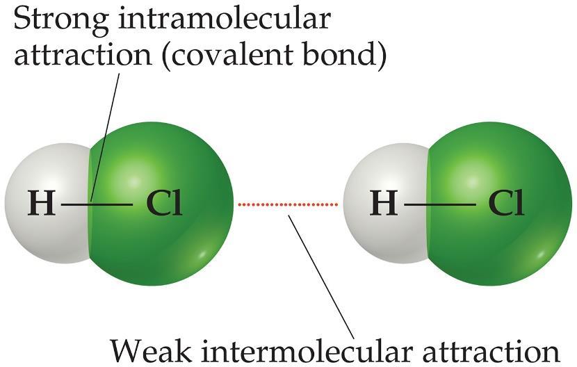 Intermolecular Forces The attractions between molecules are not nearly as strong as the intramolecular attractions (bonds) that hold compounds