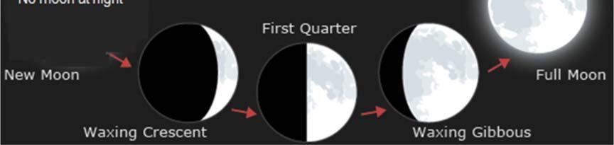 But, it takes 29.5 days to go from one Full Moon to the next. This is called one lunar cycle.