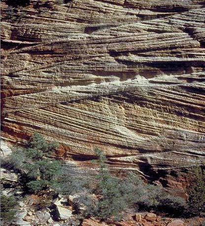 What type of depositional environment?