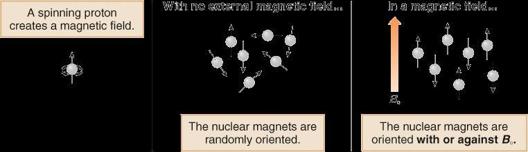 Introduction to NMR Spectroscopy When a charged particle such as a proton spins on its axis, it creates a magnetic field. Thus, the nucleus can be considered to be a tiny bar magnet.