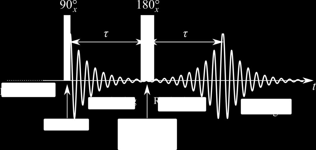 The Spin Echo Experiment The inversion pulse in the middle of the 2τ interval causes all systematic contributions to dephasing to be compensated, leaving only the