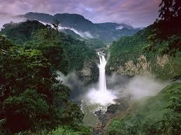 Describe what the rainforest is like and where it s generally located 54. In what countries so you find the largest rainforests? 55.