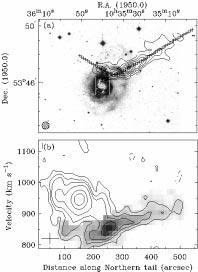 M. Kregel and R. Sancisi: NGC 3310, a galaxy merger? 5 taking, at velocities 887 to 953 km s 1, only the emission from the arrow.