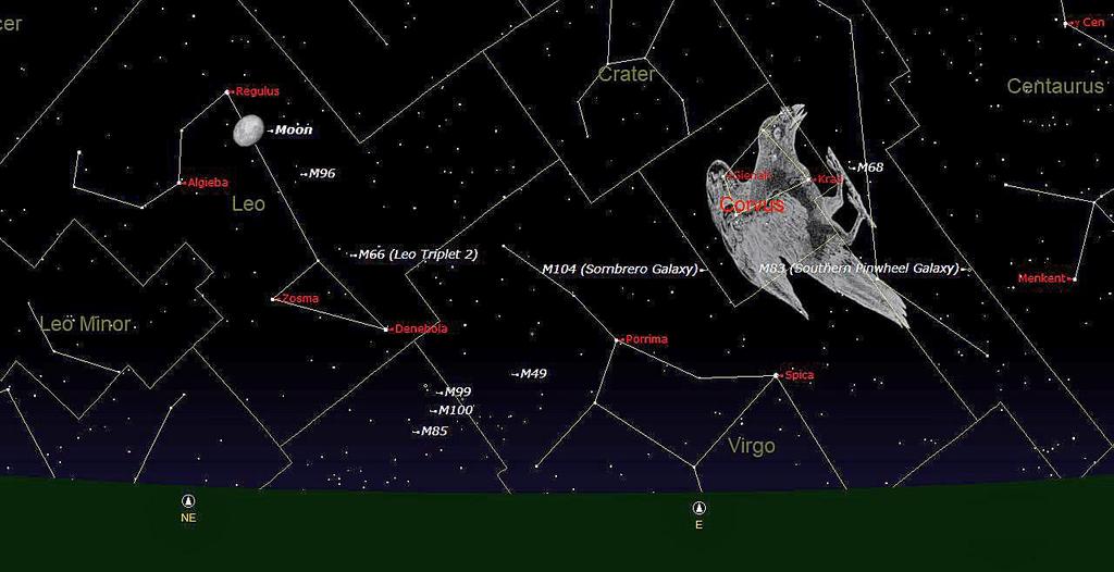 An interesting constellation for you to observe is Corvus the Crow shown in the east in the star chart below at 23.00 on March 1 st. It is best known for two interacting galaxies called the Antennae.