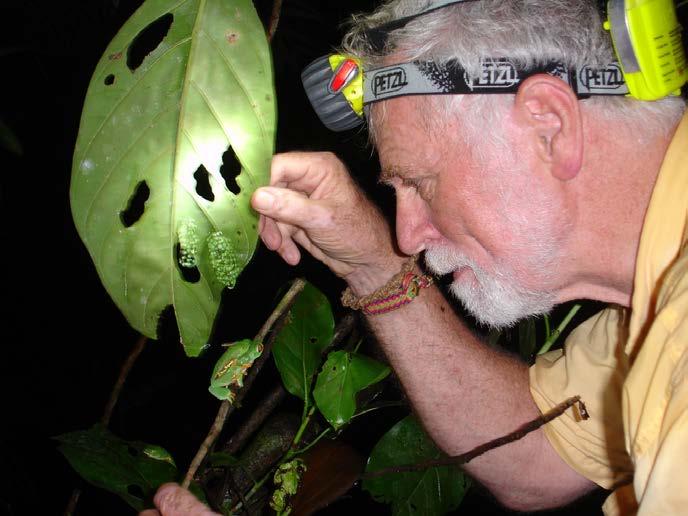 Dr. Bob Thomas Professor and Loyola Chair in Environmental Communication Teaches Tropical Ecology, Herpetology,
