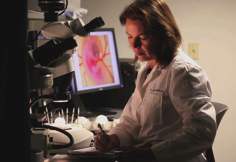 Dr. Rosalie Anderson Associate Professor Teaches Cells & Heredity, Cell Biology, and