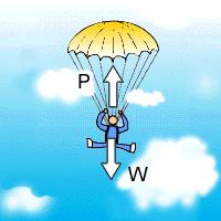 ILQ 2 A parachutist drifts slowly downwards towards the earth with constant speed. Only two forces, P and W, act on the parachutist.