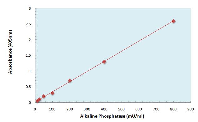 STANDARD CURVE Correct for background absorbance. For each point, subtract the value derived from the negative control. Plot the Alkaline Phosphatase concentrations vs.