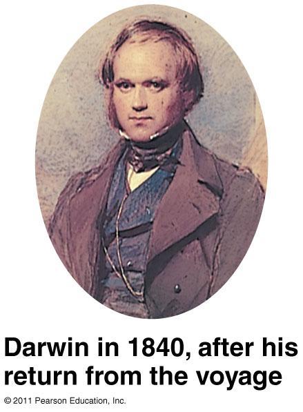 Charles Darwin (1809-1882) English naturalist 1831: joined the HMS Beagle for a 5-year research voyage