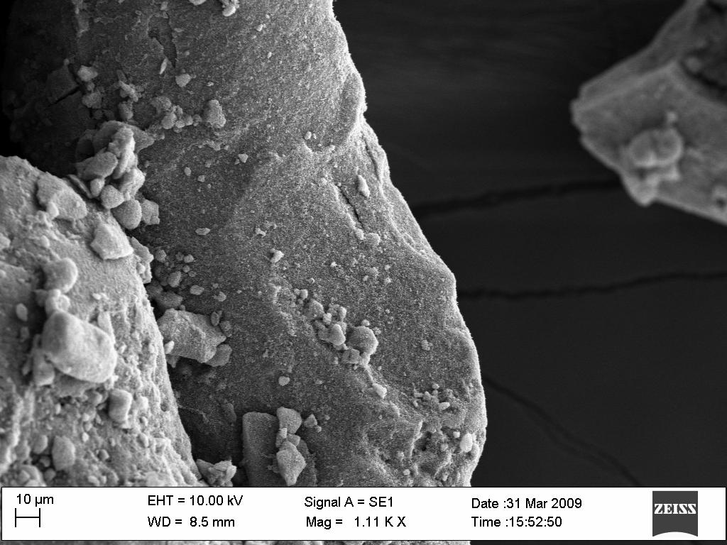 Powders morphology After the infiltration with TIP and ethanol and the calcining, the PMMA disordered structure originates a macroporous TiO 2 with a disordered arrangement of the pores (Fig.