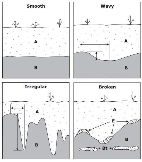 Figure 3. The categories of horizon topography (Schoeneberger et al., 2011) Soil color Task on the scoresheet: Use the Munsell naming system to determine the moist color of each horizon described.