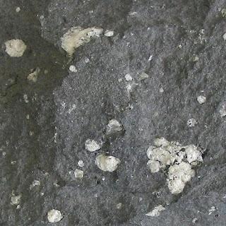 Phaneritic Texture (coarse grained) Individual crystals are all large enough to be visible to the naked eye and are all