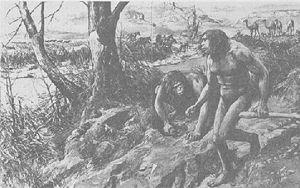 Nebraska man (Hesperopithecus haroldcookii) Based on a single tooth found in 1922