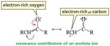 19.4 How Enolate Ions and Enols React The resonance contributors of the enolate ion show that it has 2 electron-rich sites: the α- carbon and the oxygen.