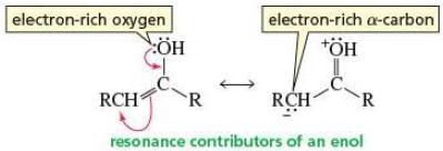 The overall reaction is an α-substitution reaction; one electrophile (E + ) is substituted for another (H + ) at the α-carbon.