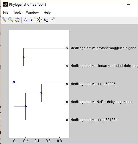 Construction of phylogenetic tree on the basis of jukes cantor distance 6.