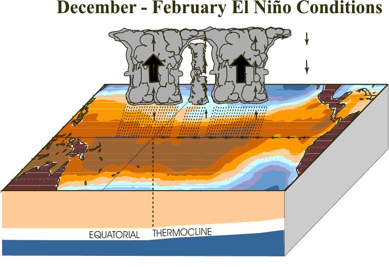 El Nino- Southern