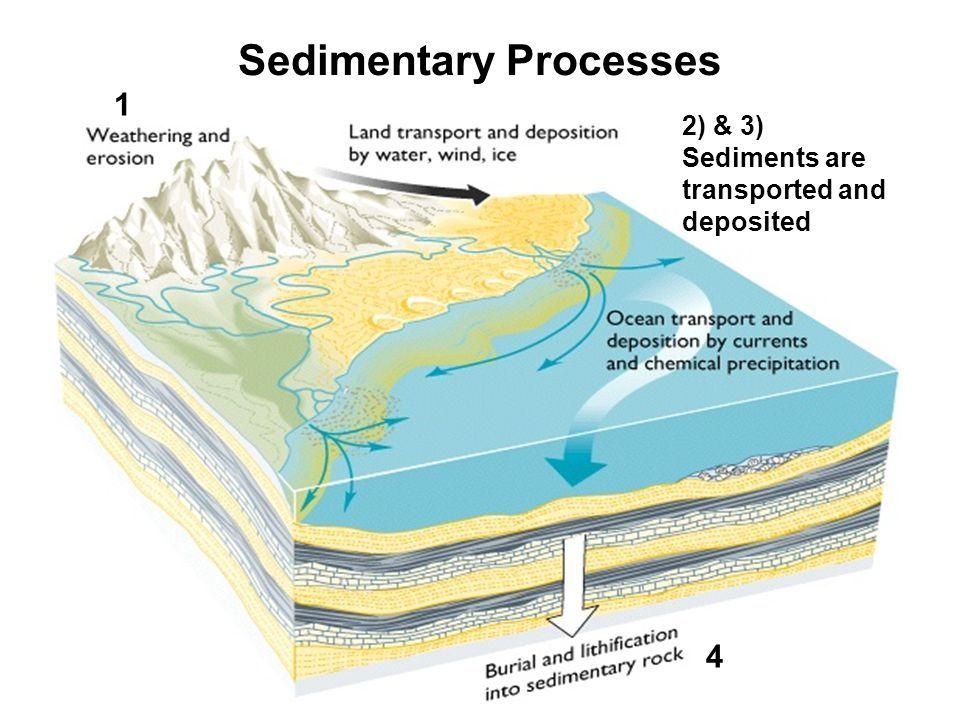 How do sedimentary rocks form?