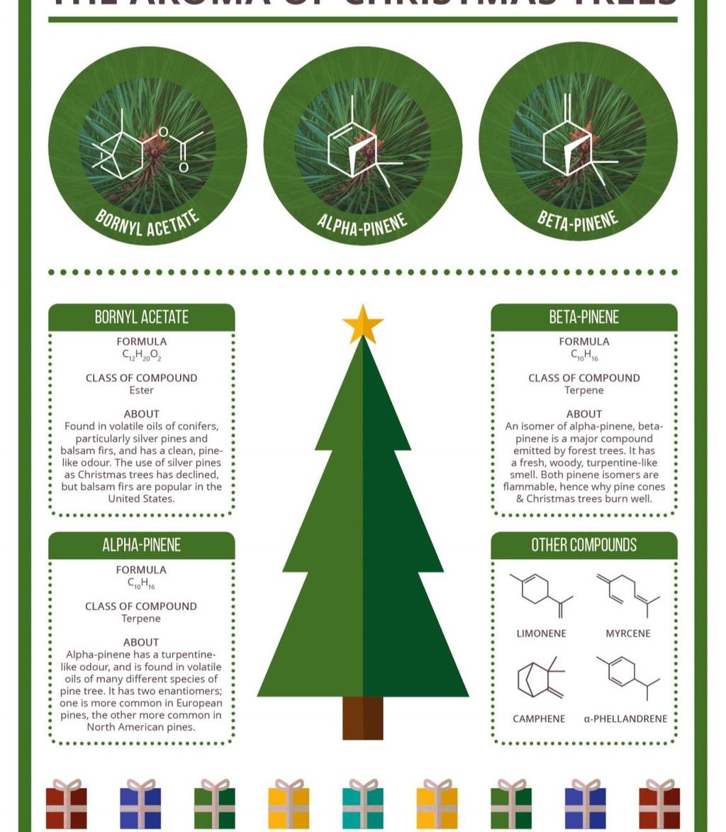 Of the Christmas tree smelling chemicals presented, what pattern do