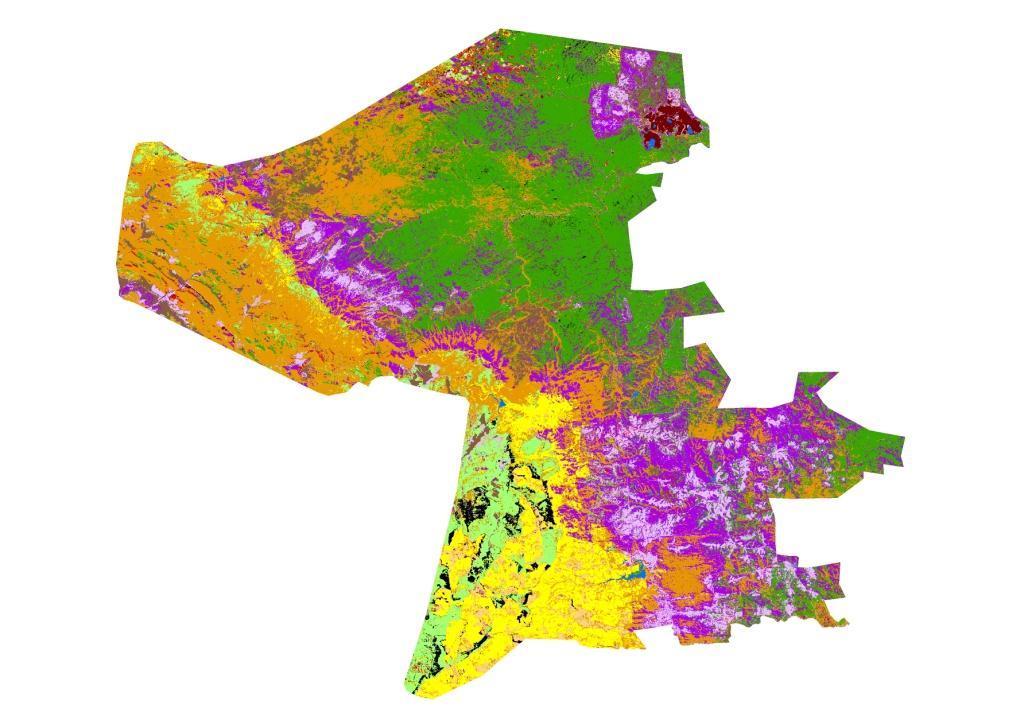 1993, 2006: Status quo land-cover maps 1993 2006 Multi-use landscape