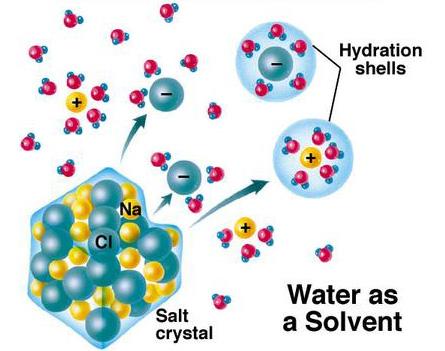 water molecule are separated, & thus attract positive & negative ions) Water is