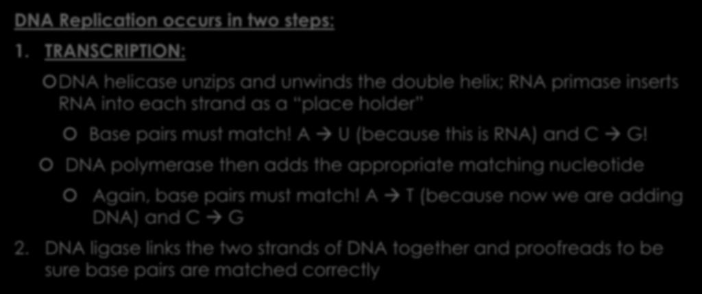 2. Students will explain the basic process of transcription and/or translation and their roles in the expression of genes. DNA Replication occurs in two steps: 1.