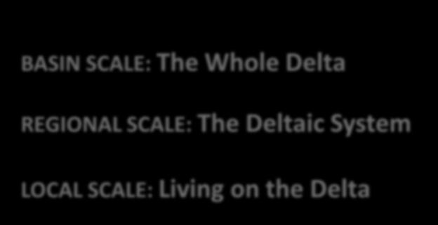 TALK OUTLINE: BASIN SCALE: The Whole Delta REGIONAL SCALE: The Deltaic System LOCAL